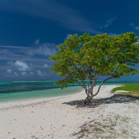 Chao Guest House Maafushi Exterior photo
