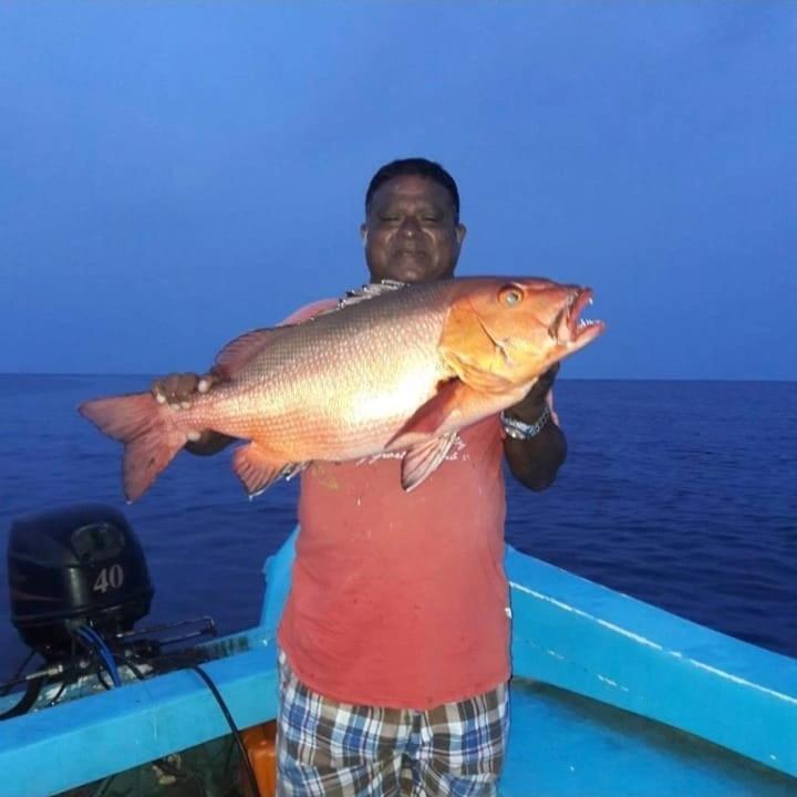 Chao Guest House Maafushi Exterior photo
